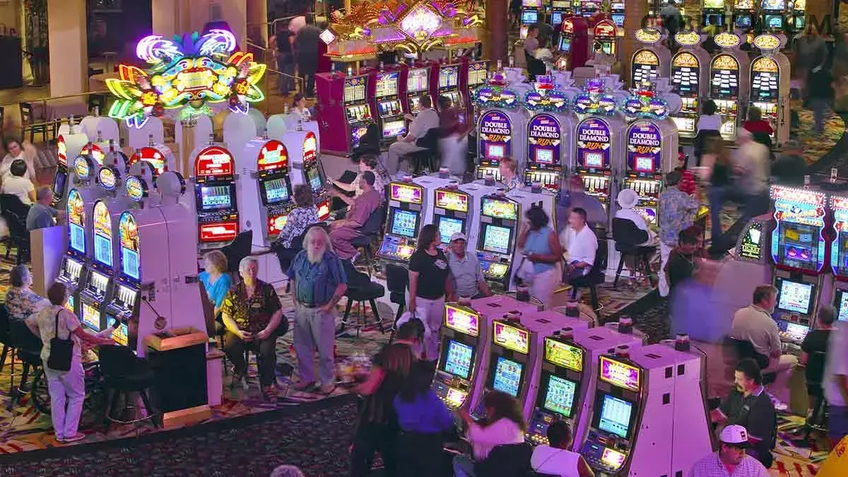 App ckbet slots mobile